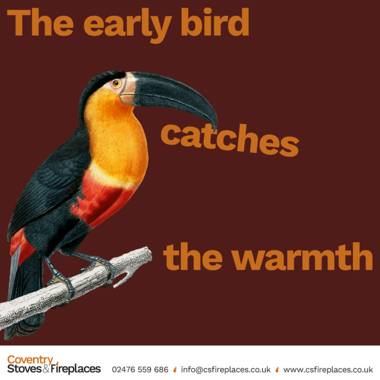 Free Installation on Wood Burning Stoves Promotion - Early Bird